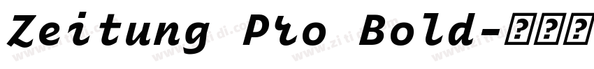 Zeitung Pro Bold字体转换